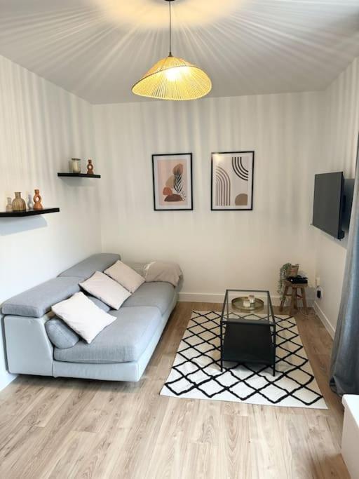 Appartement Eloi - 1 Chambre Mont-de-Marsan Zewnętrze zdjęcie